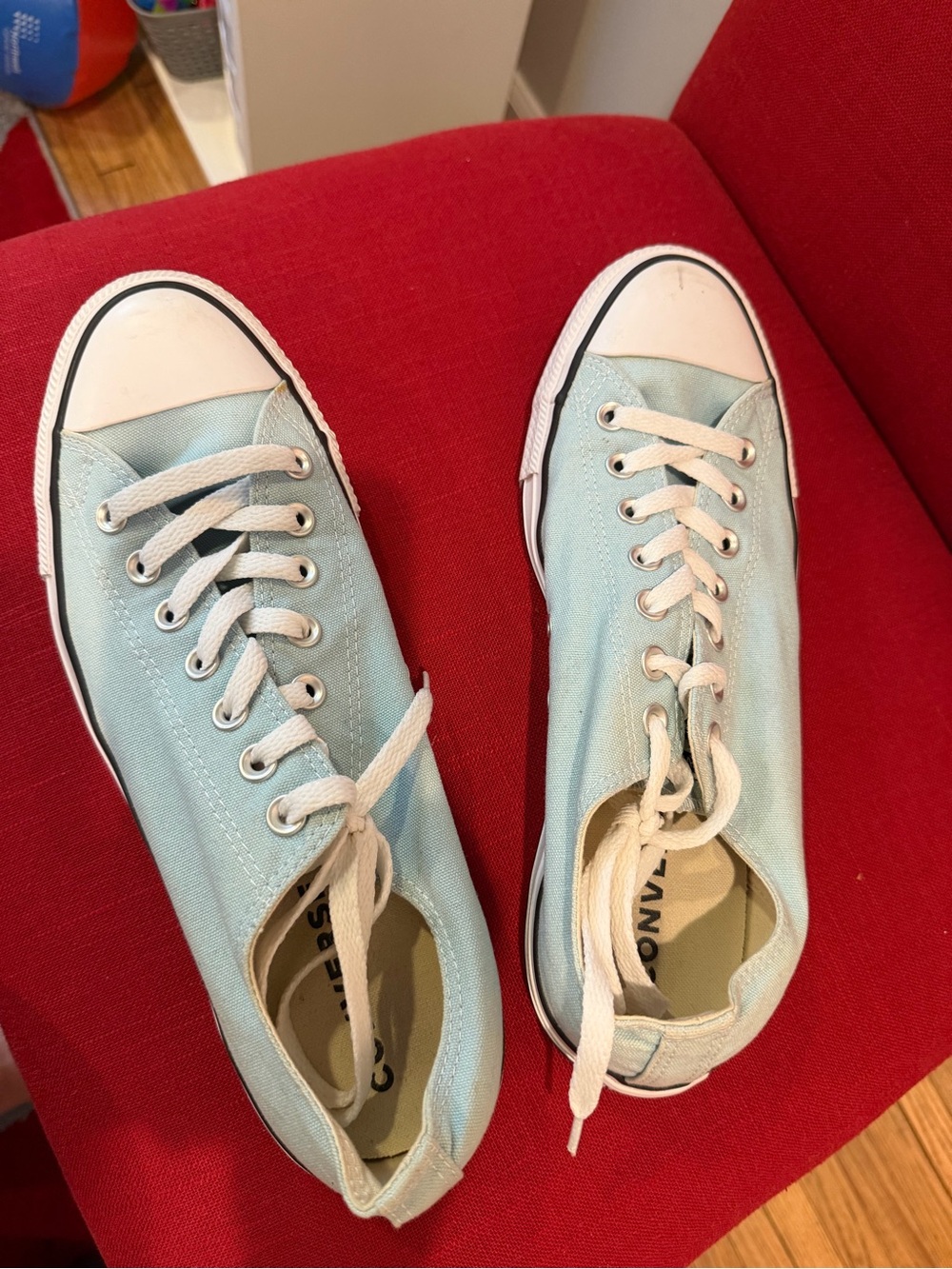 Converse Light Aqua Canvas Low-Top Sneakers